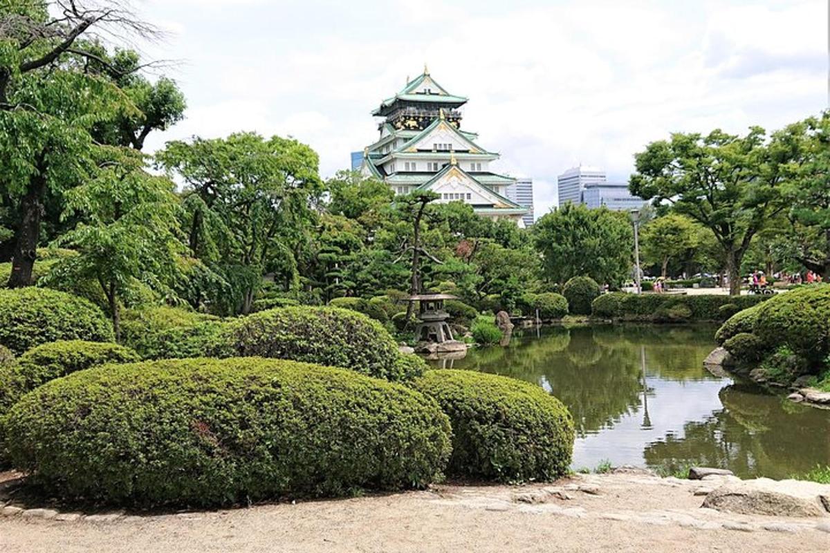a garden with a pond in front of a building