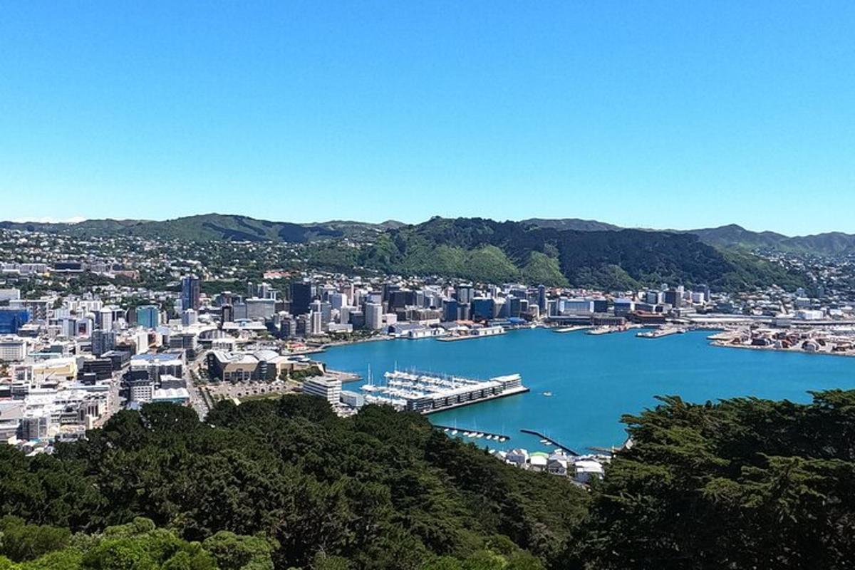 a view of a city with a marina and a harbor