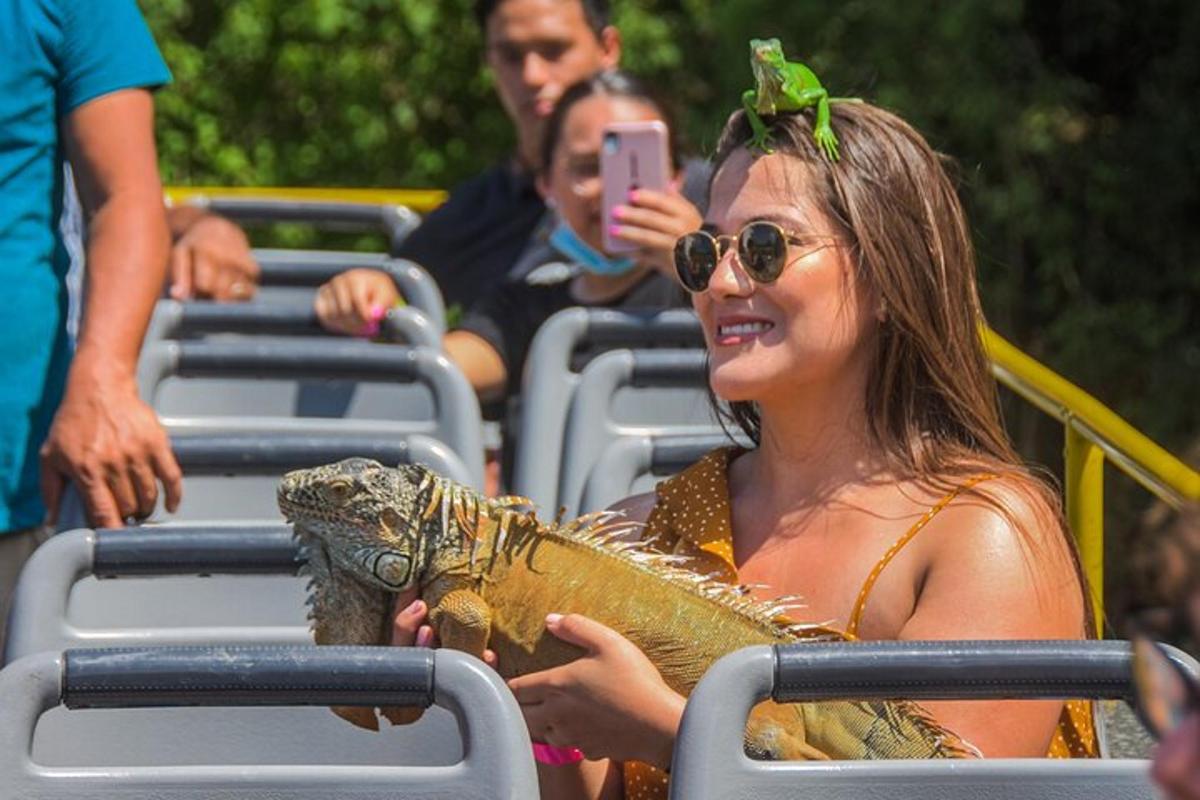 a woman holding a crocodile in an audience