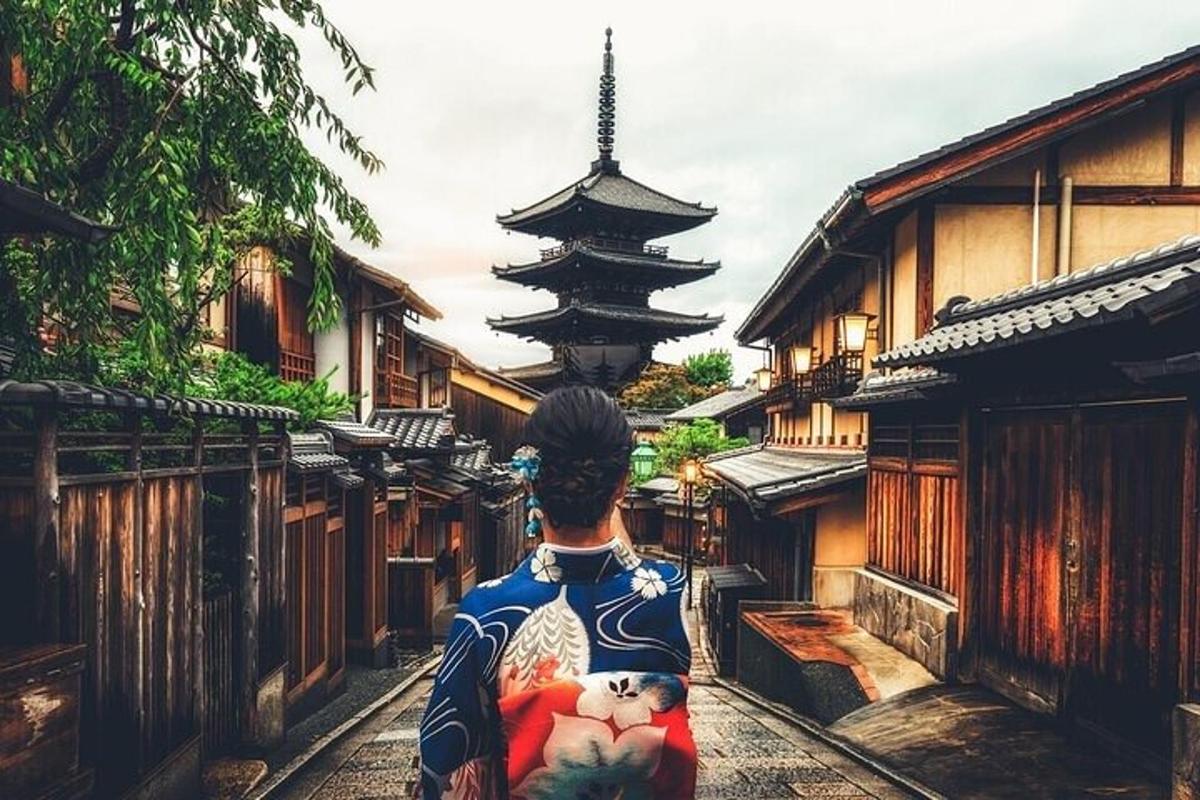 a person in a kimono is looking at a pagoda