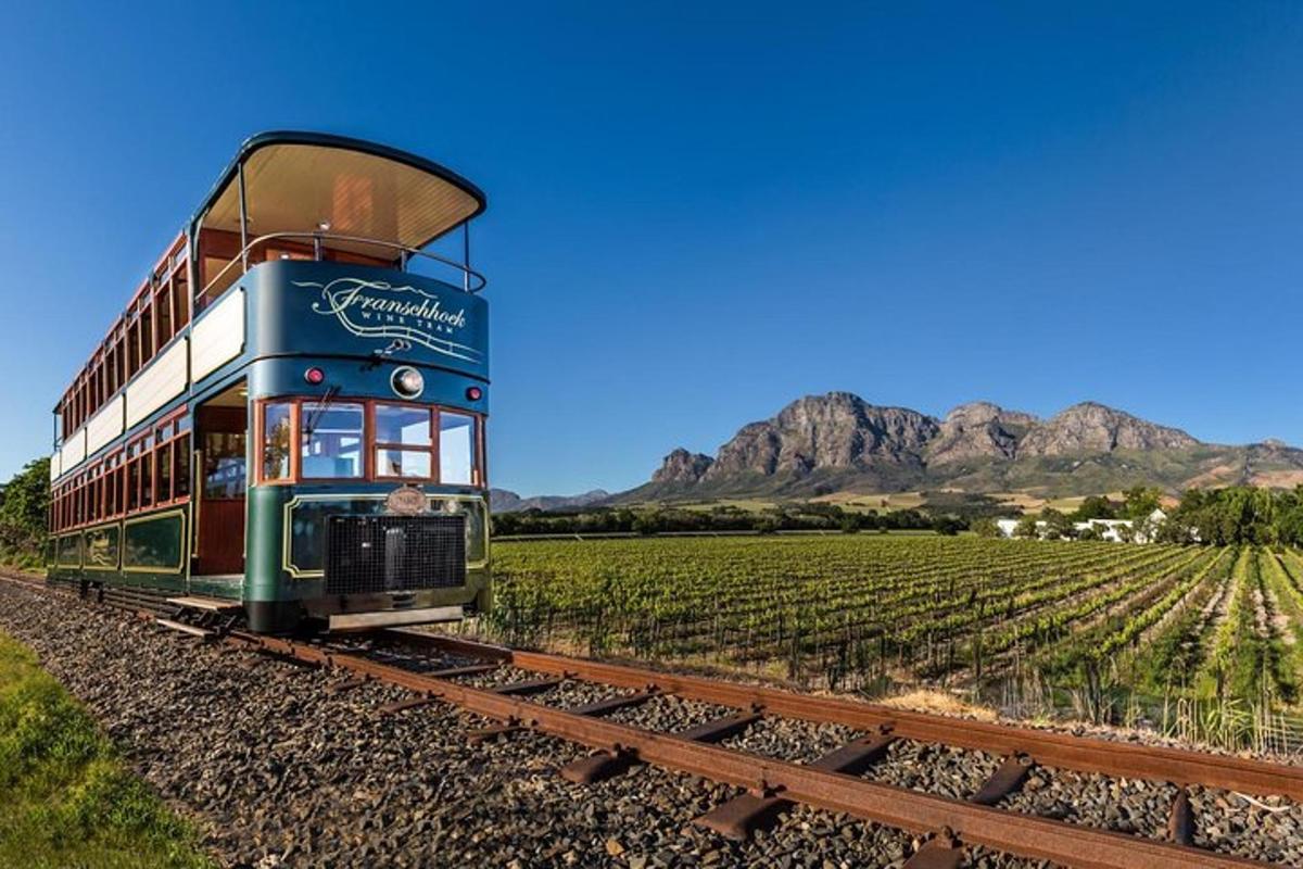 un tren a les vies al costat d'una vinya