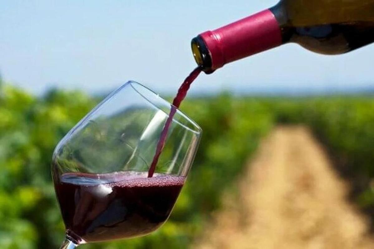 una persona che versa vino rosso in un bicchiere da vino