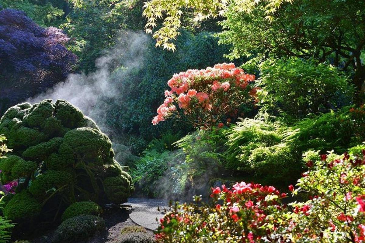 un jardí amb flors i un raig d'aigua