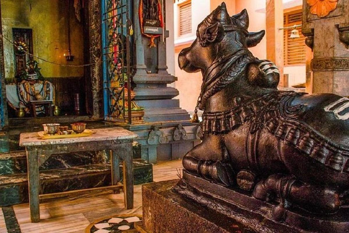 una statua di un cane in una stanza con un tavolo