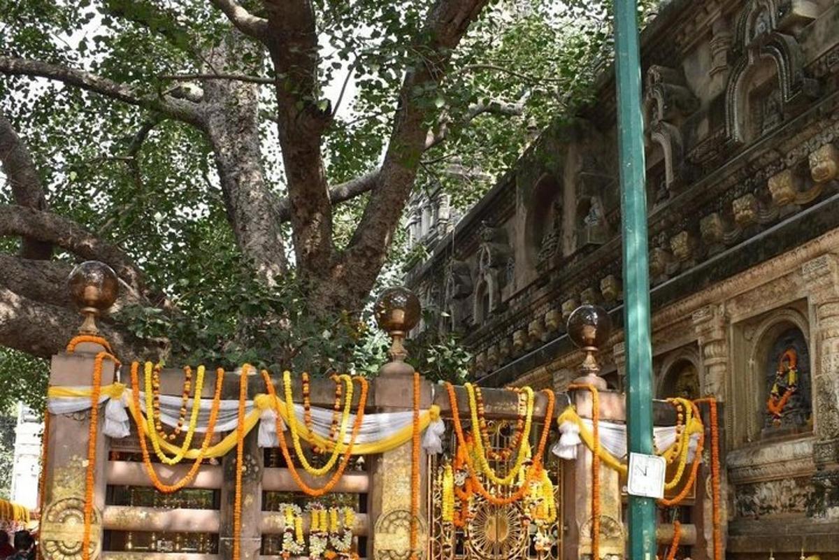 a fence with a tree in front of a building