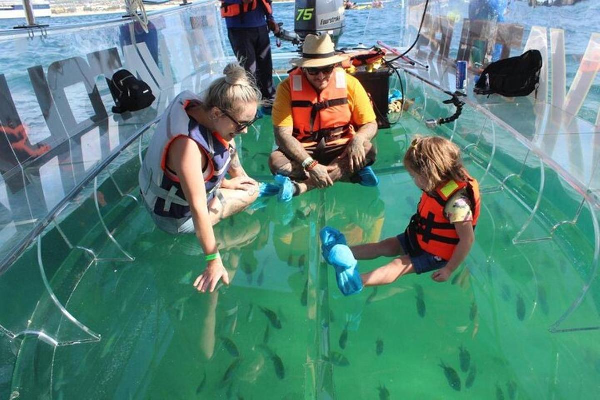 un gruppo di persone è in acqua