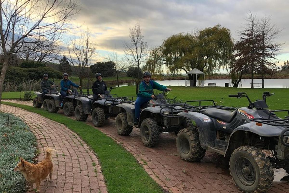 a group of people on atvs and a dog