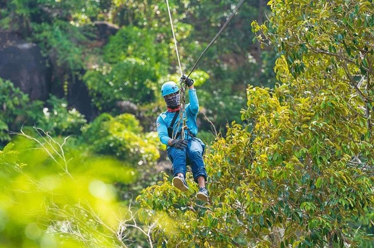 una persona en una tirolina en los árboles