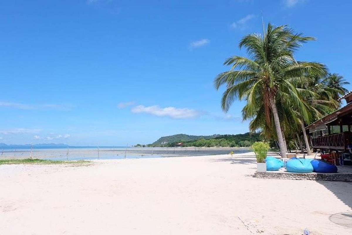 una playa con una palmera y una casa