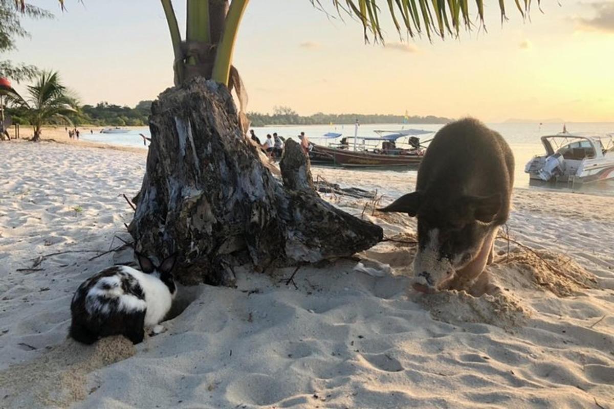 Una vaca parada en la arena junto a un árbol en una playa.