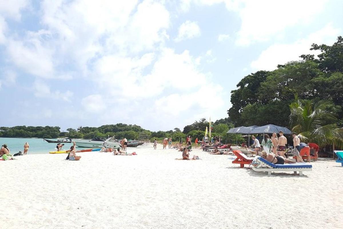un grupo de personas sentadas en una playa
