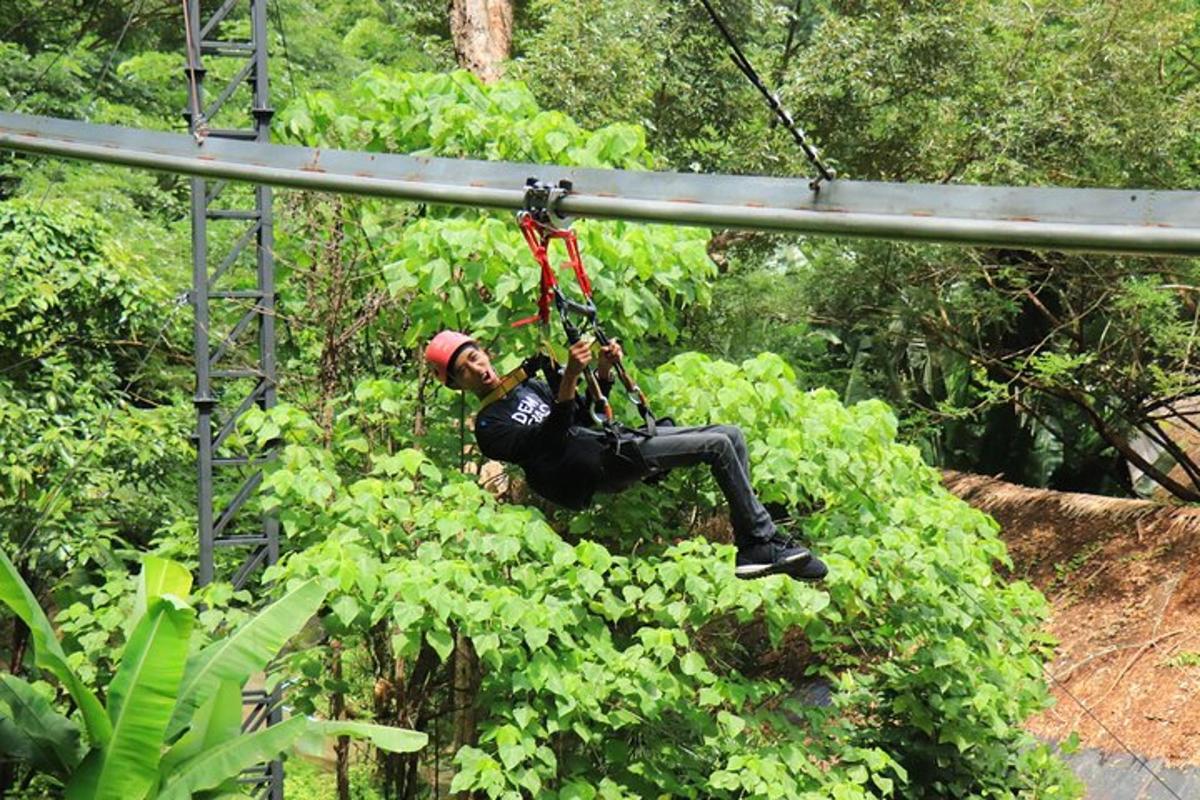 un home en un gronxador de corda a la selva