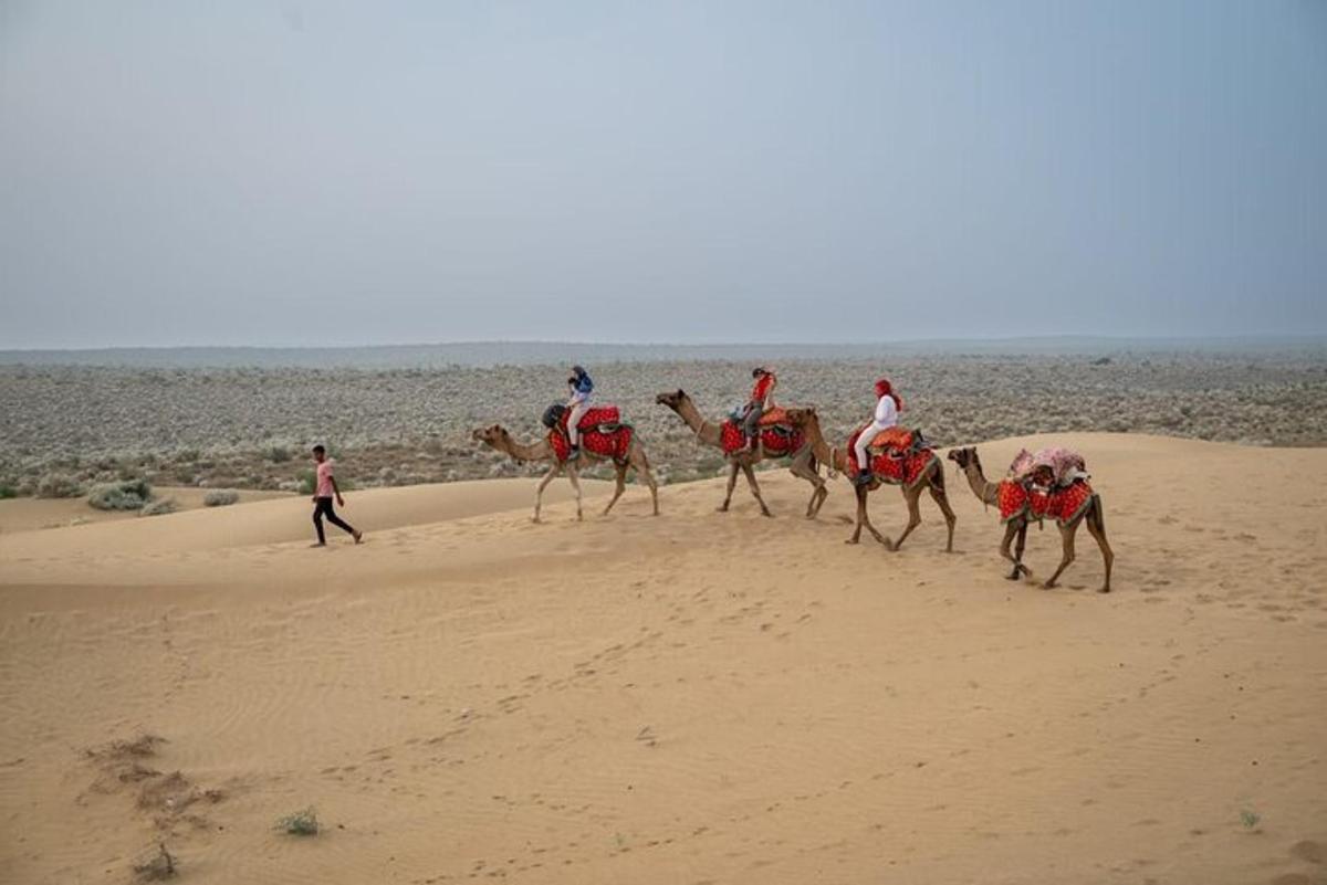 a group of people riding camels on the beach