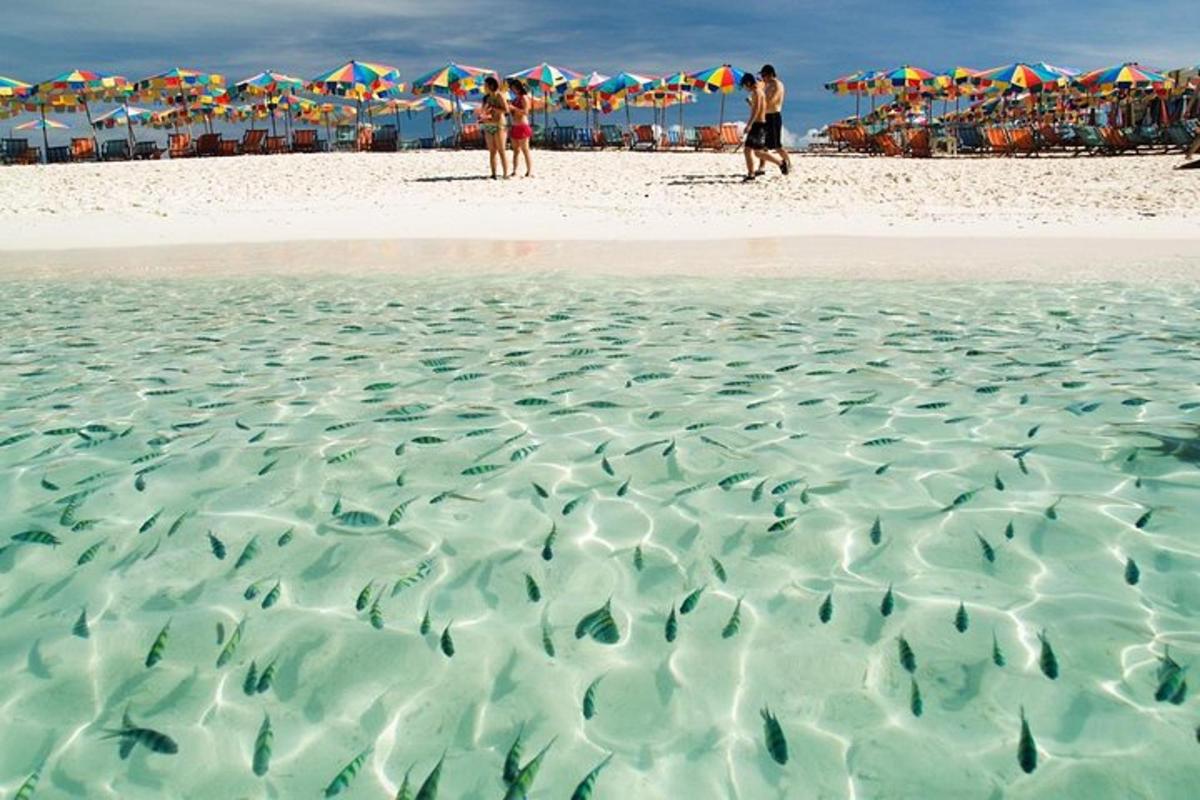 skupina ljudi, ki stojijo na plaži
