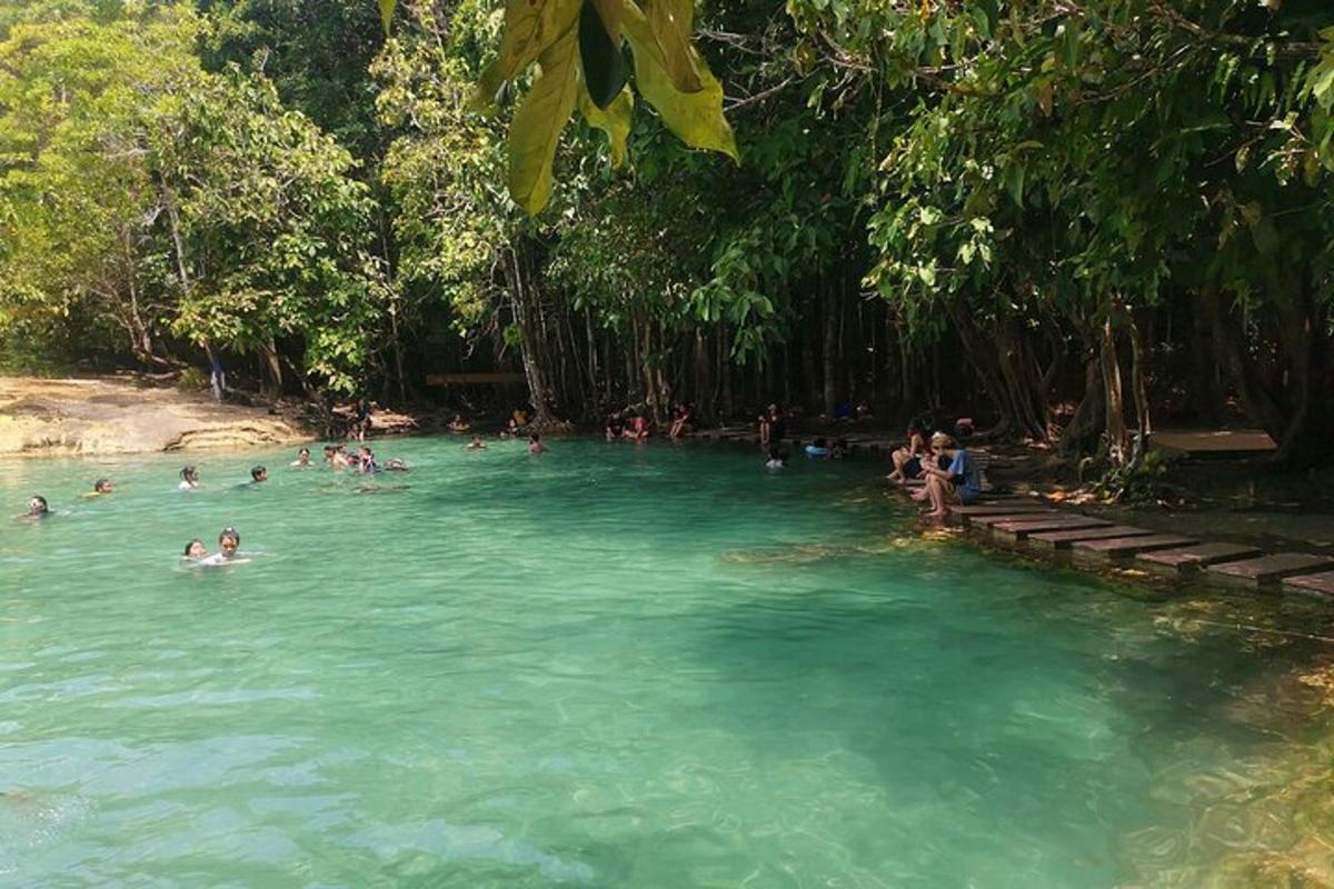 sekumpulan orang berenang di dalam kolam air