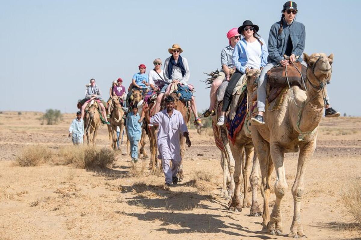 a group of people riding on the backs of camels