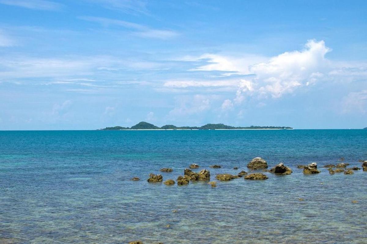un grup de roques a l'aigua a la platja