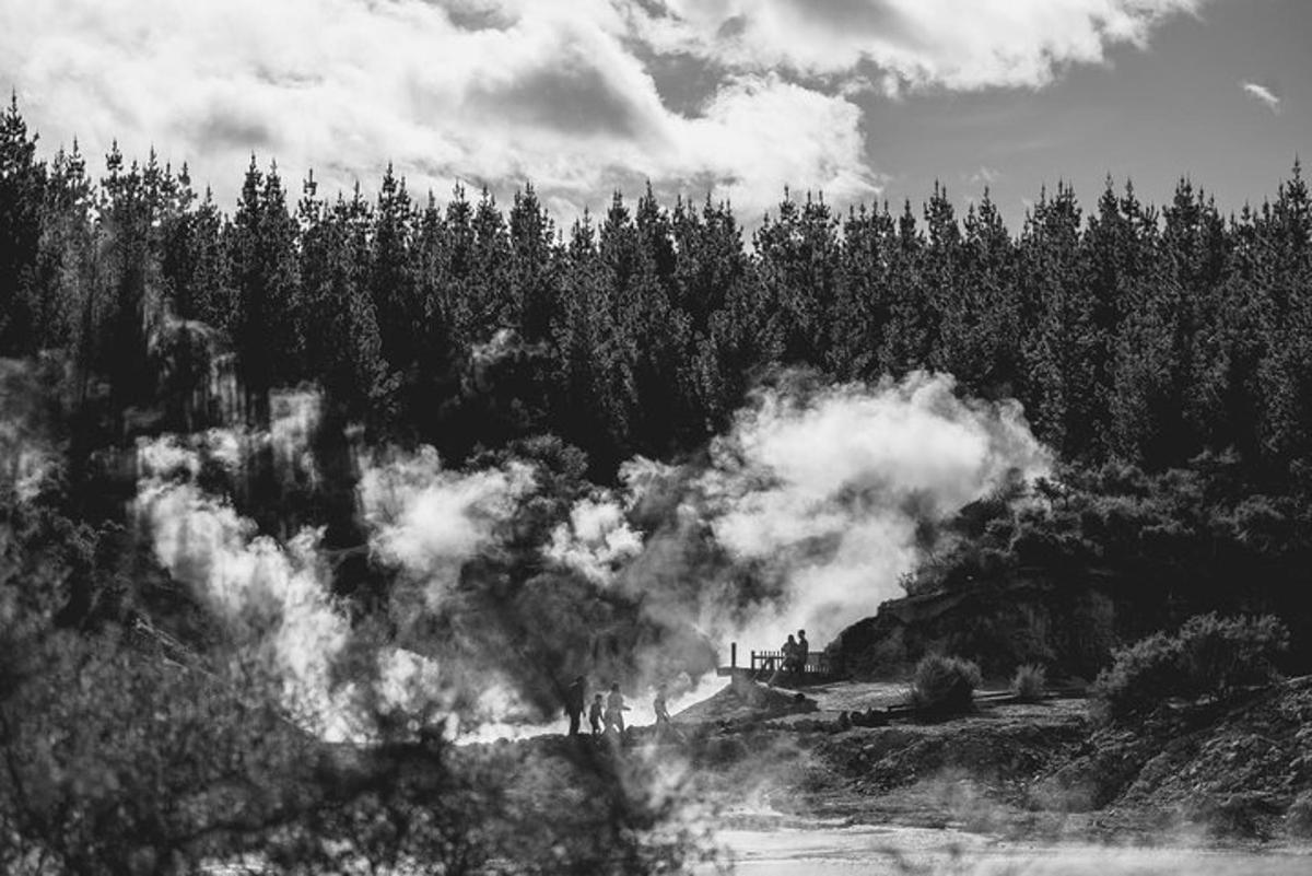 a black and white photo of a mountain with trees