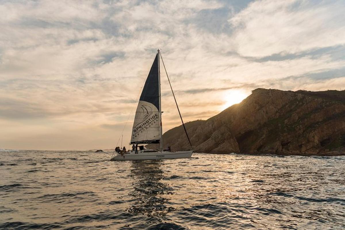 a sailboat in the water on the ocean