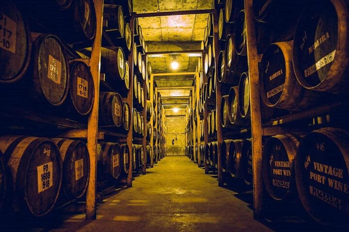 Una habitación con un montón de barriles de vino en una bodega.