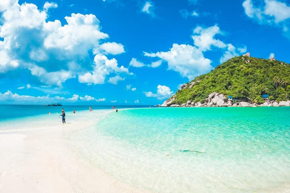 a beach with people on it with a hill in the background