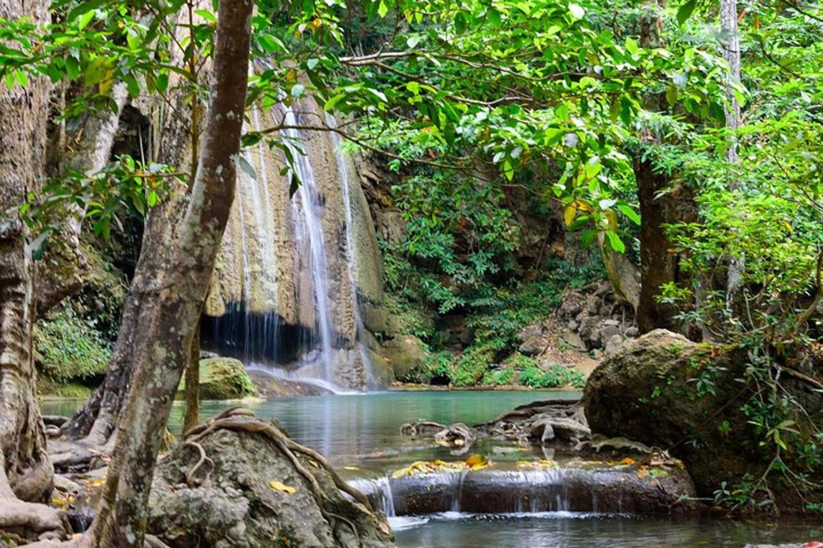 una cascada en una jungla con un charco de agua