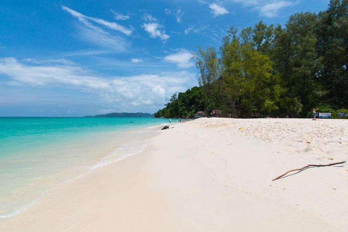 pantai berpasir dengan lautan dan pepohonan di atasnya