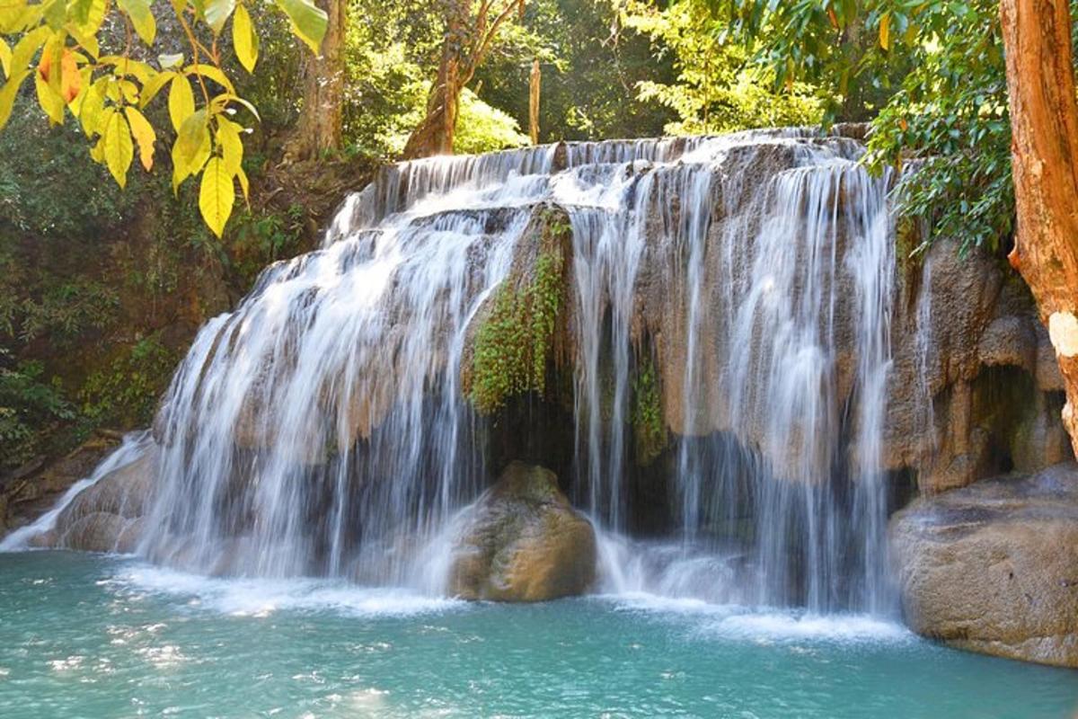 una cascada en medio de un bosque