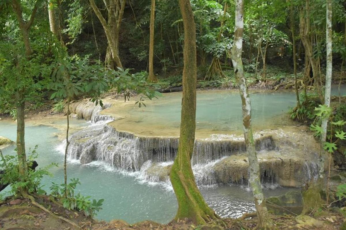una cascada en medio de un bosque