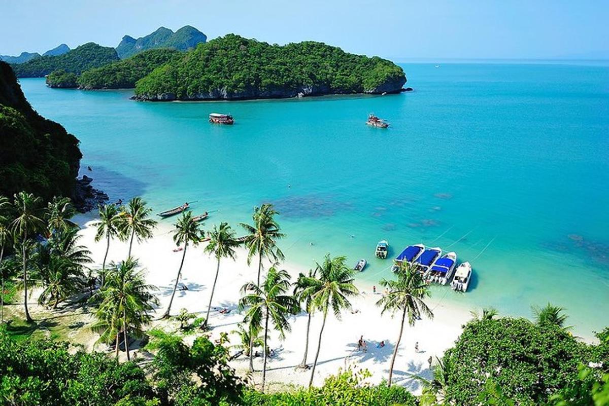pantai dengan pokok palma dan bot di dalam air