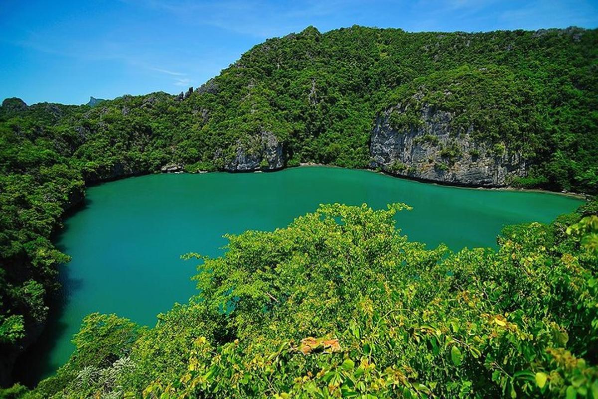 pemandangan udara tasik hijau di dalam hutan