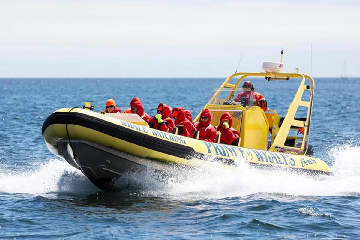sekelompok orang di dalam perahu di air