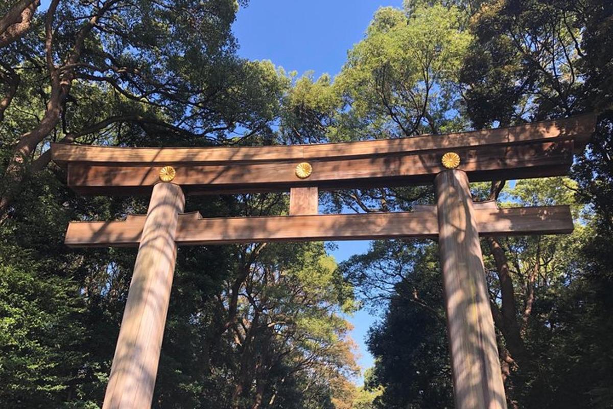 o poartă torii în fața unor copaci