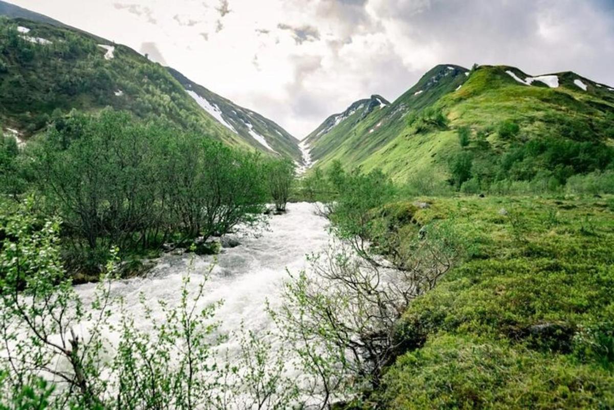 a river in the middle of a field with mountains