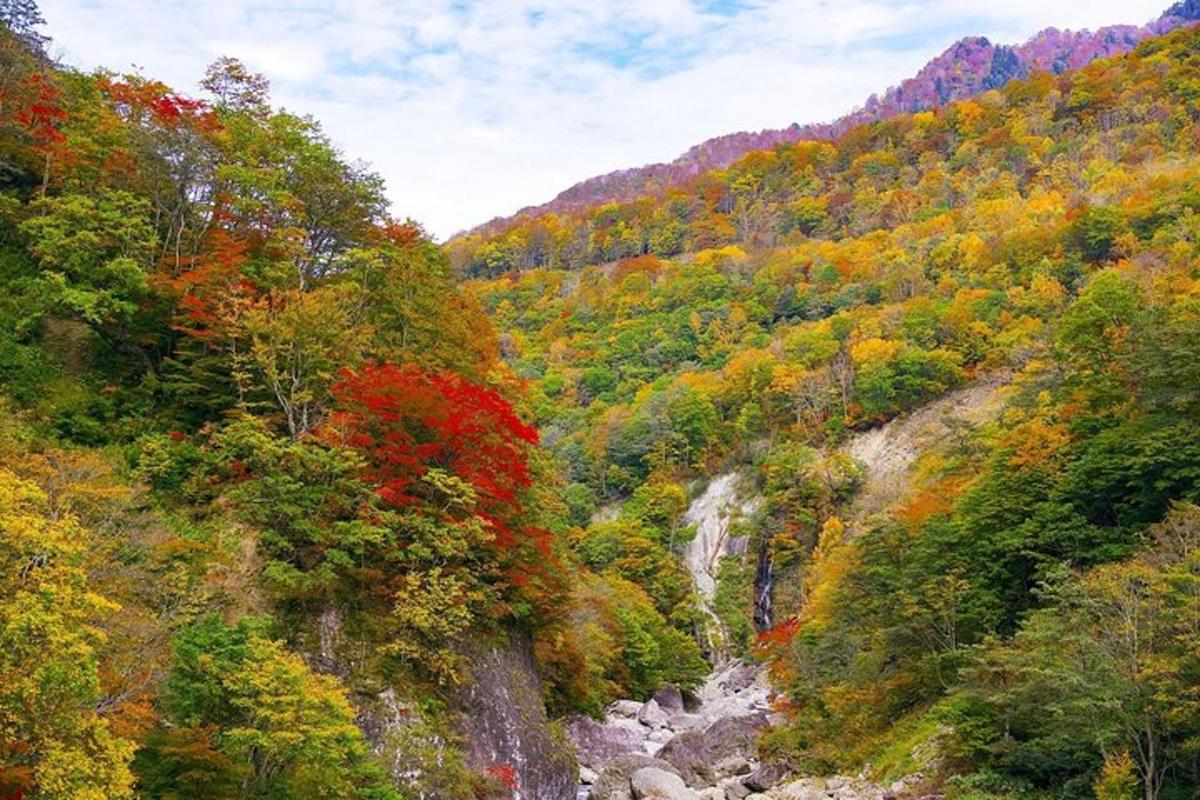a view of a mountain with a waterfall and trees