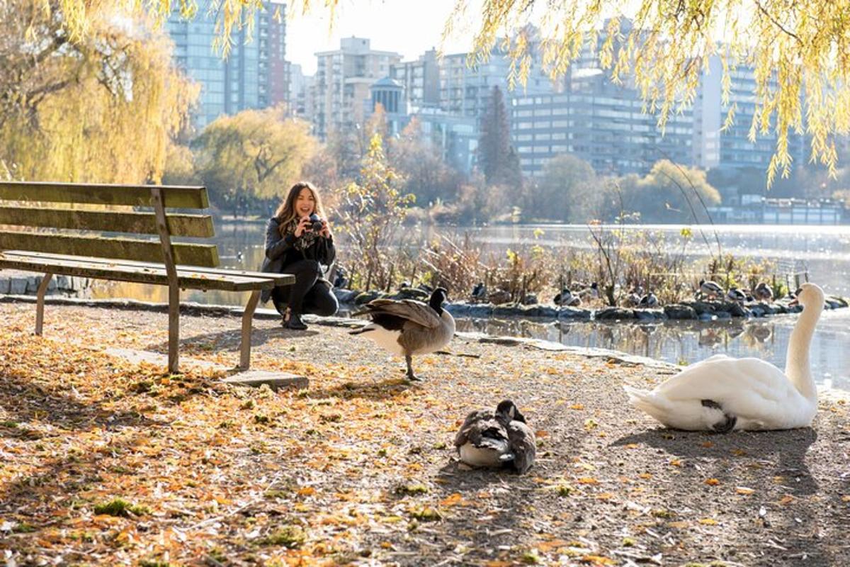 una donna seduta su una panchina del parco con anatre e cigni