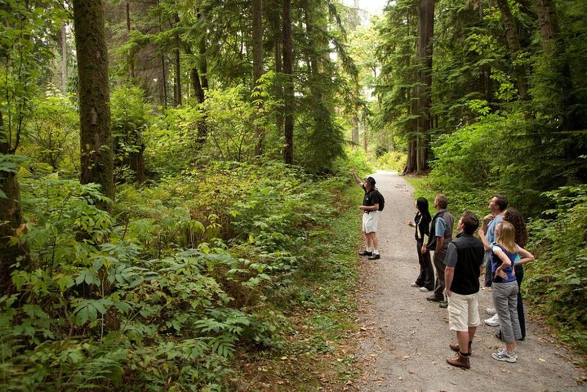 un gruppo di persone che camminano lungo un sentiero sterrato