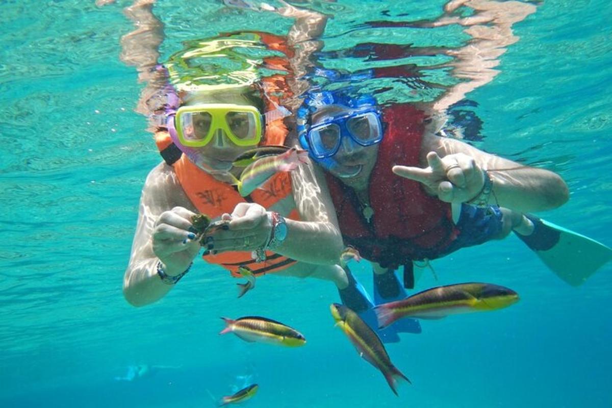 zwei Menschen schwimmen mit Fischen im Wasser