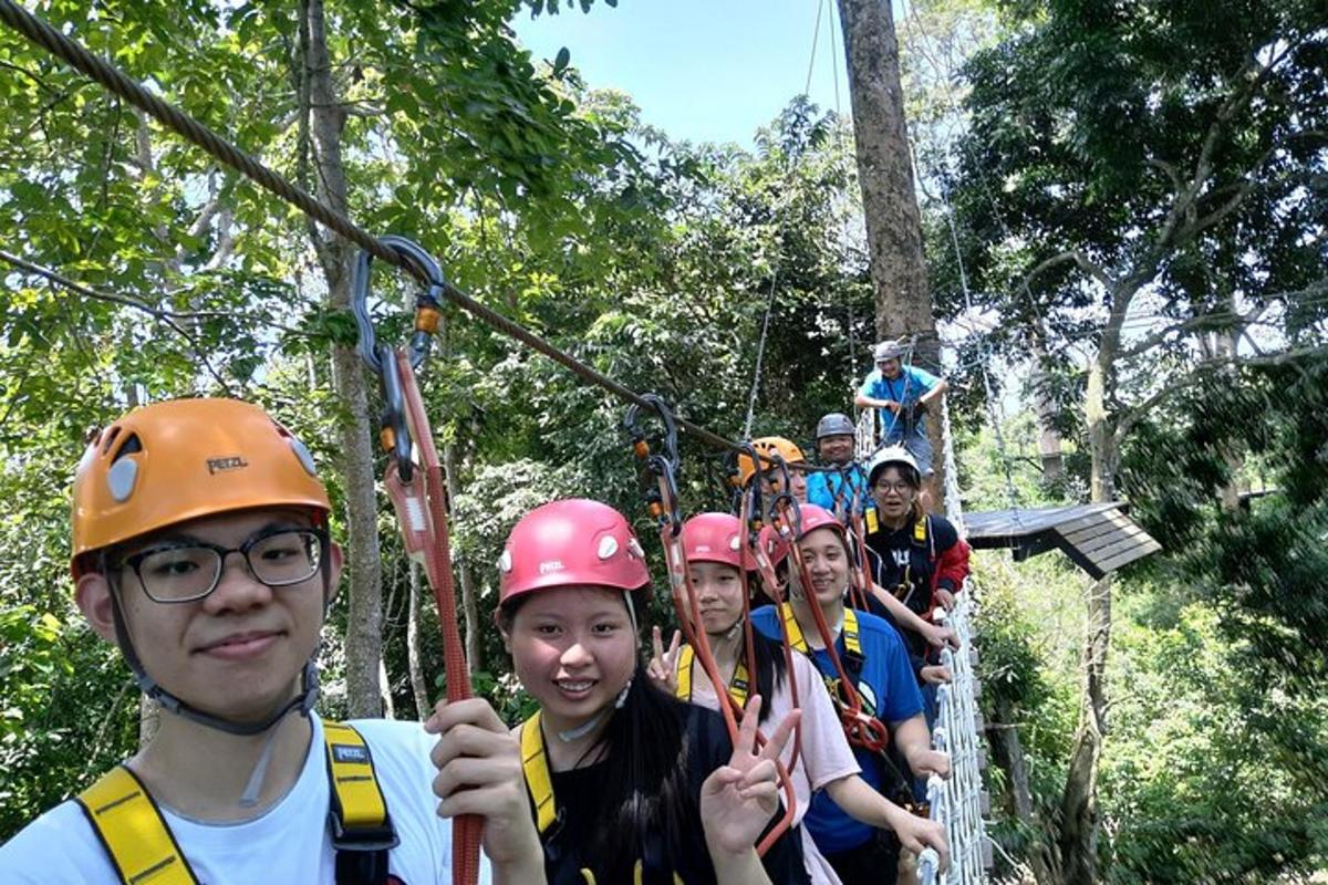 Un grupo de personas en una tirolina en la jungla.