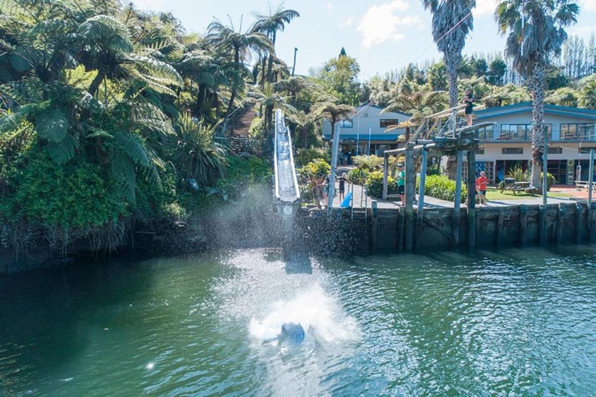 a fountain in the middle of a body of water