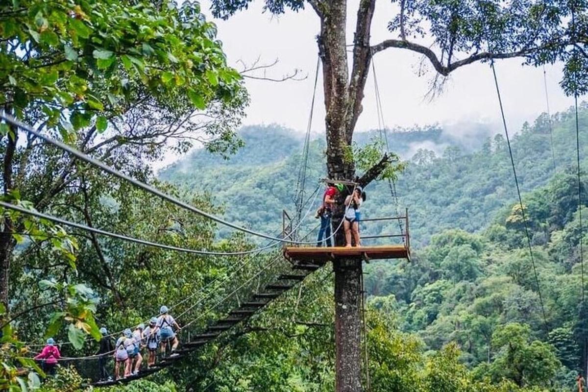 skupina lidí na zip line v lese