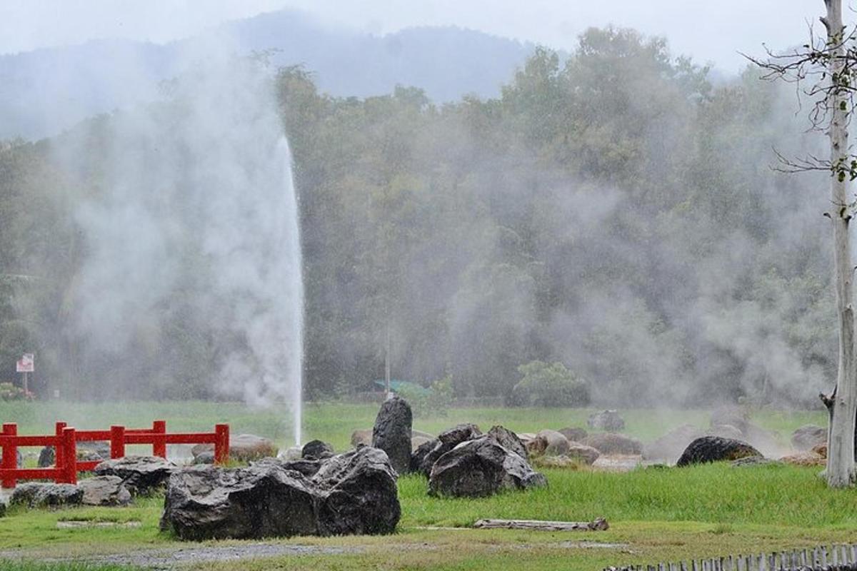 岩と赤い柵のある野原にある滝