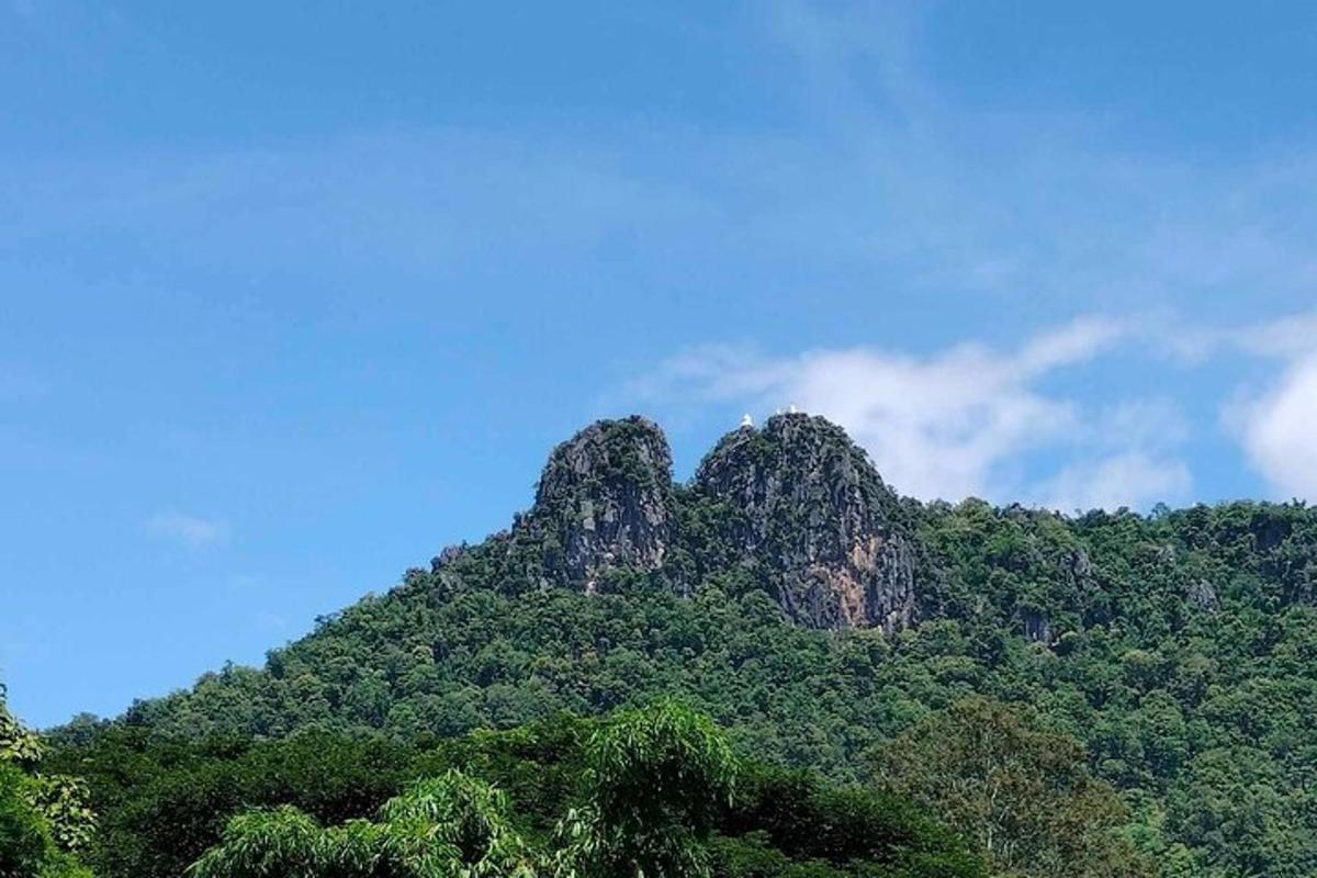 جبل مغطى بالأشجار وسماء زرقاء
