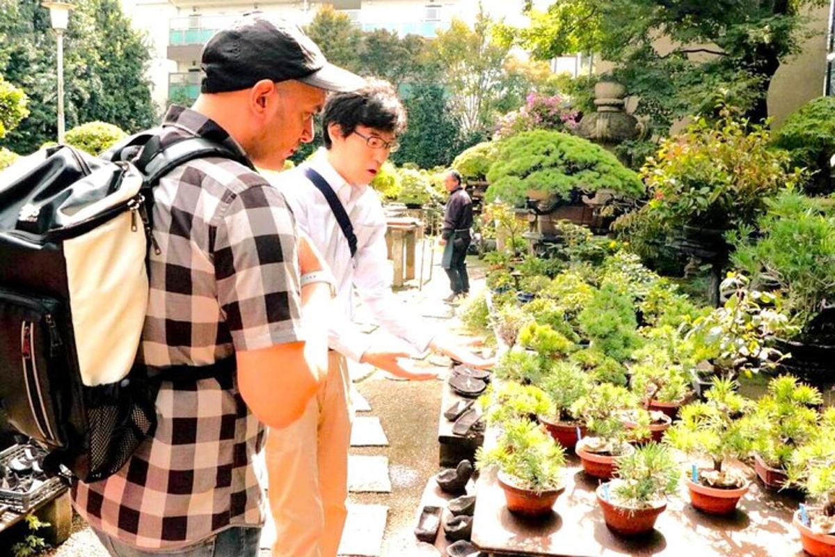 một người đàn ông và một người phụ nữ đang ngắm cây trong vườn