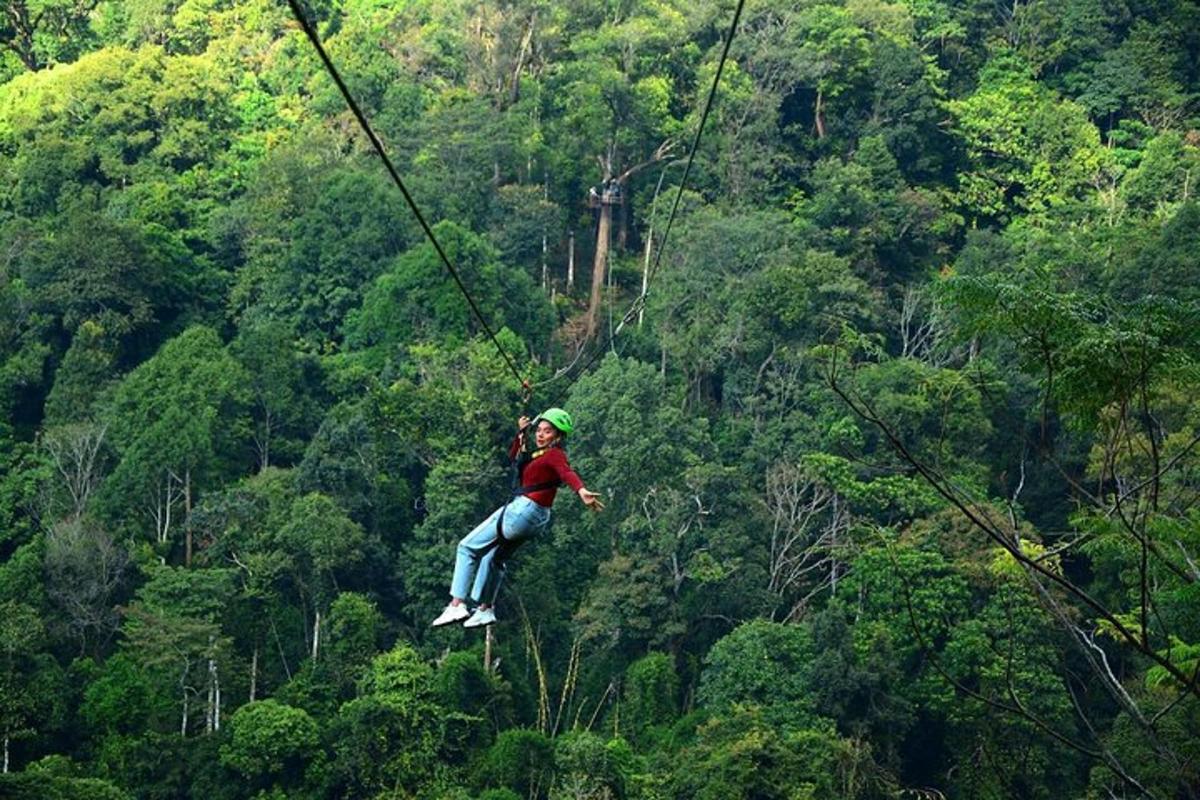 una persona su una teleferica in una foresta