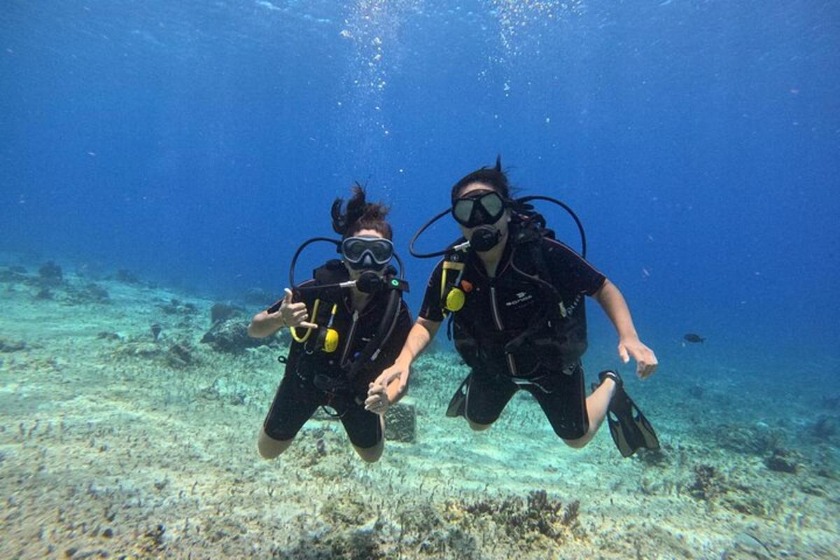 due persone in attrezzatura da sub che nuotano nell'oceano