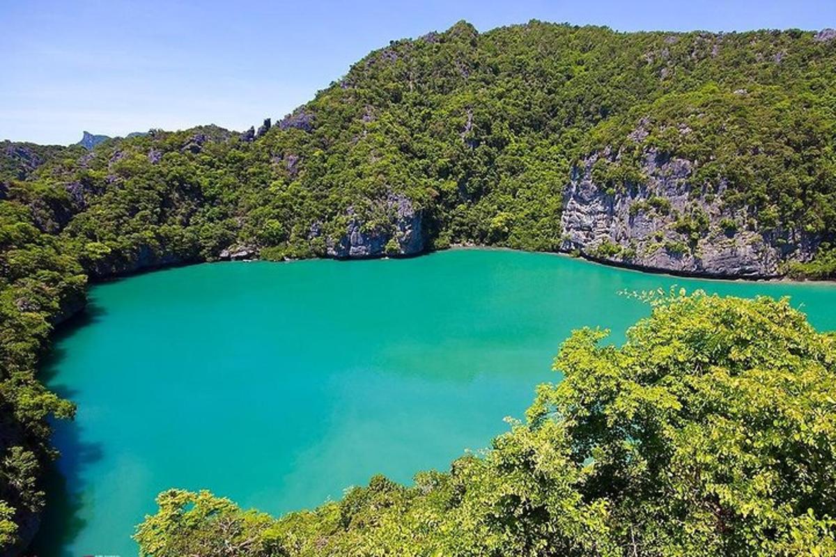 Letecký pohled na jezero obklopené stromy