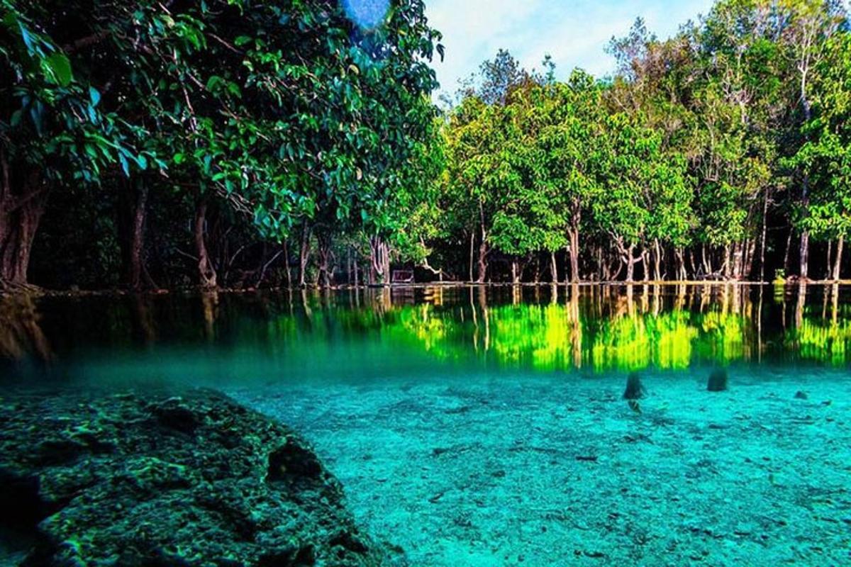uno specchio d'acqua con alberi e un uccello nell'acqua