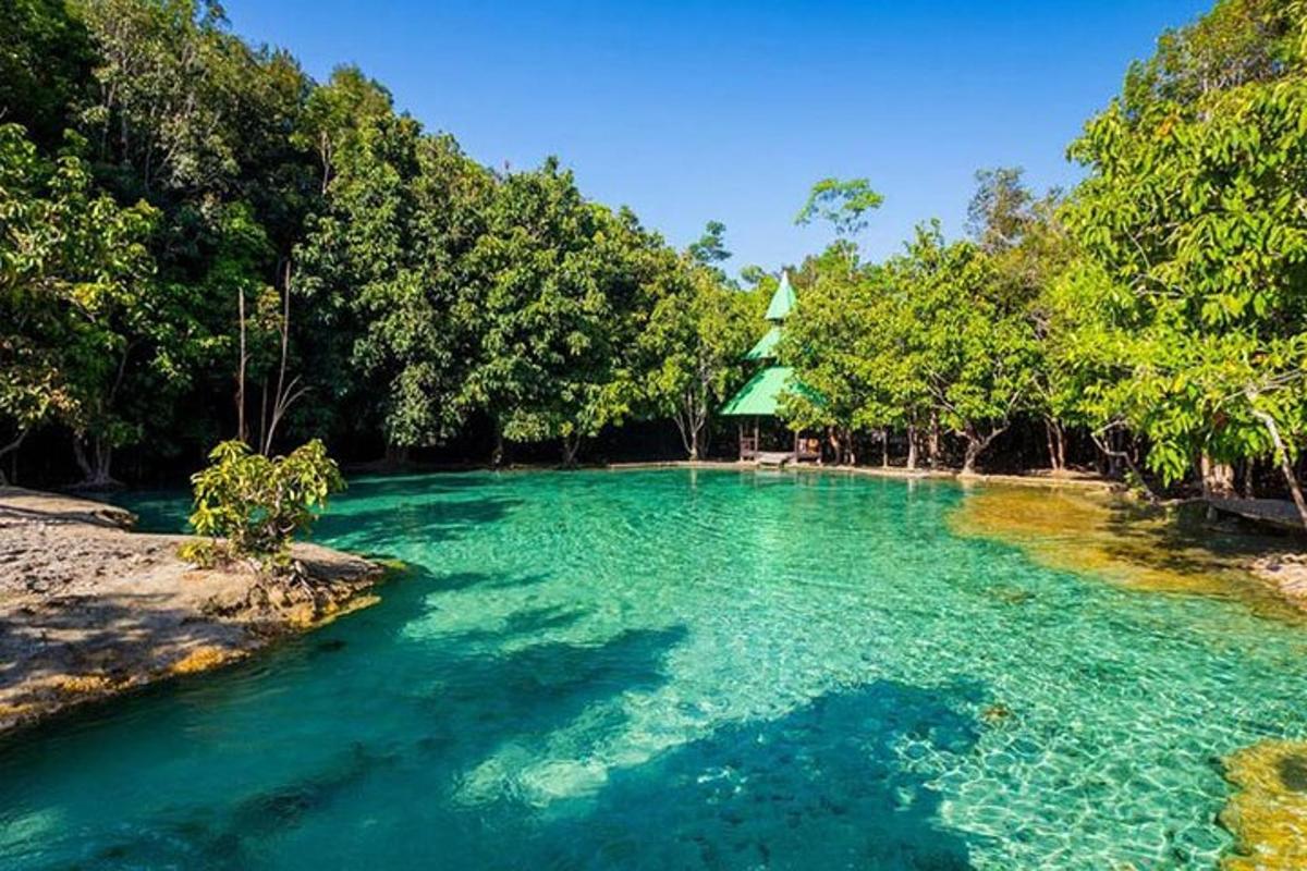 una pozza d'acqua blu in un fiume con alberi