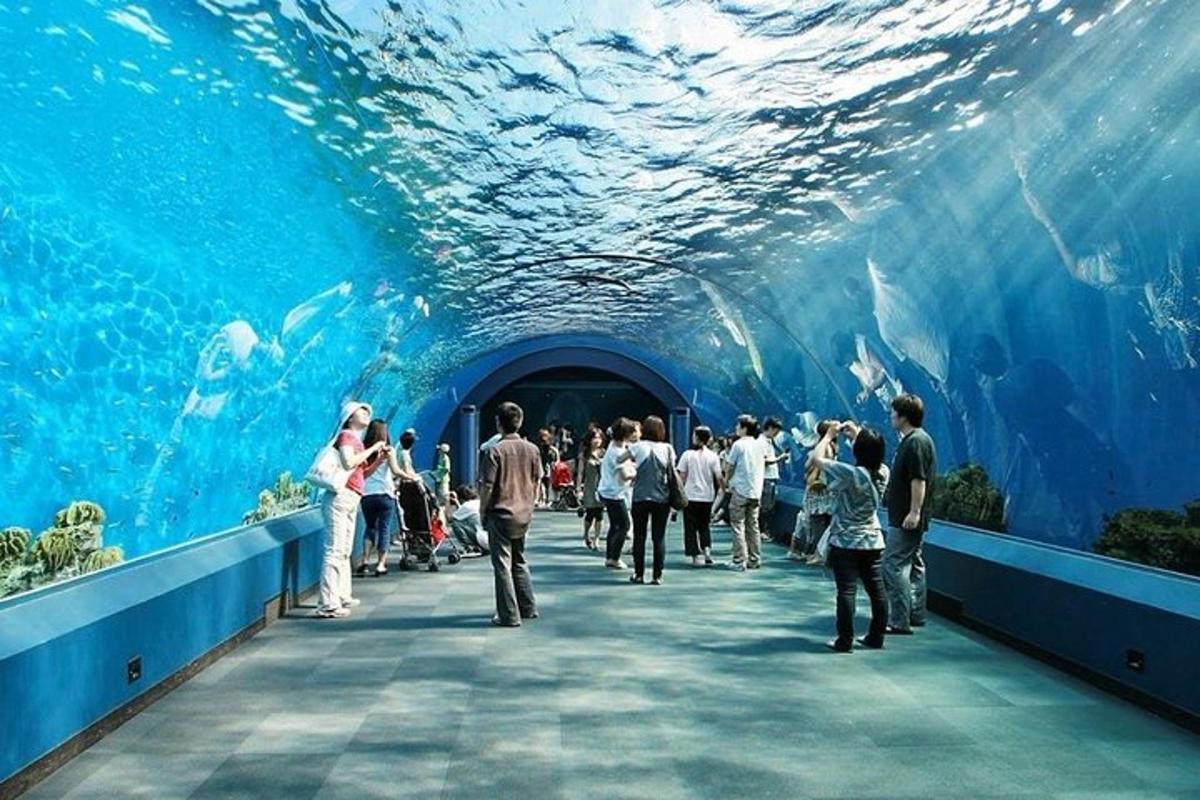 a group of people walking through a large aquarium